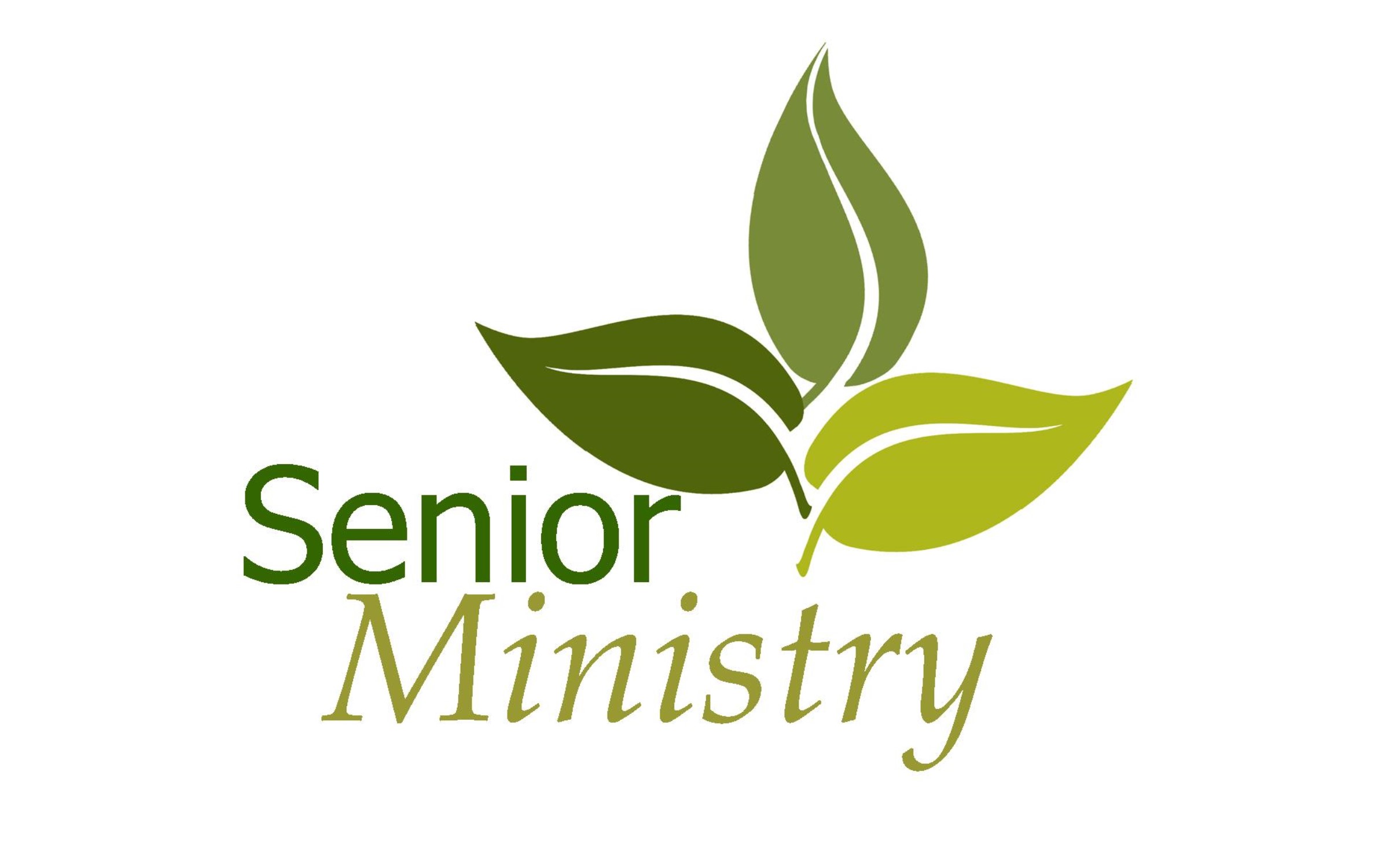 Read more about the article Seniors in Ministry September Luncheon
